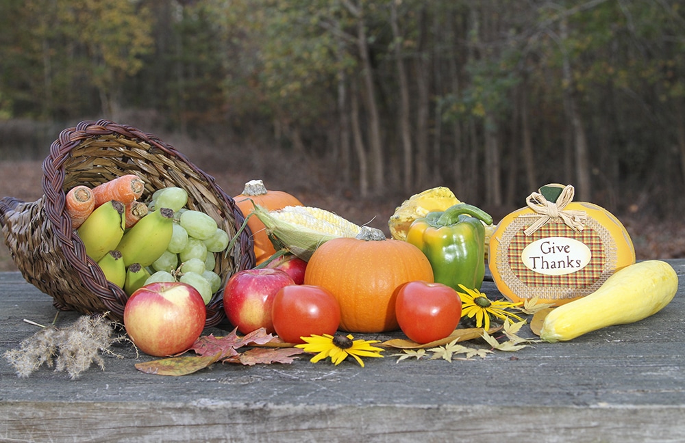 THANKSGIVING AUTUMN HARVEST