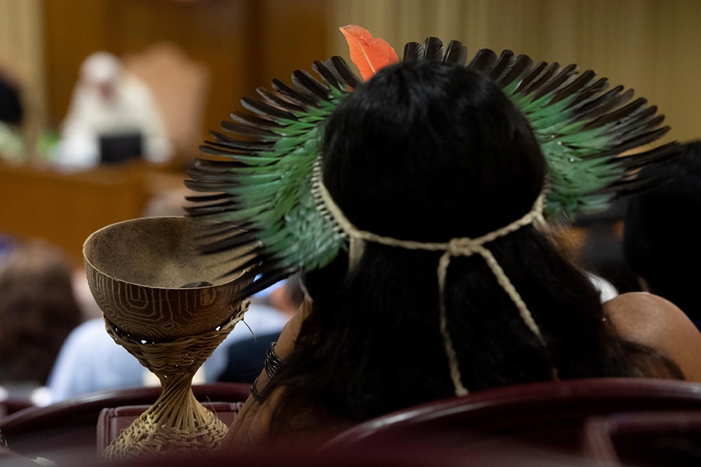 AMAZON SYNOD VATICAN