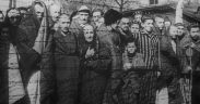 AUSCHWITZ HISTORIC PHOTOS