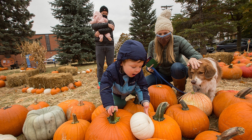 PUMPKIN PATCH