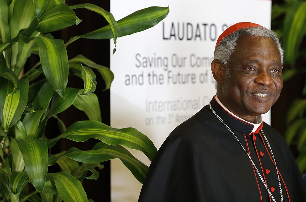 FILE CARDINAL TURKSON