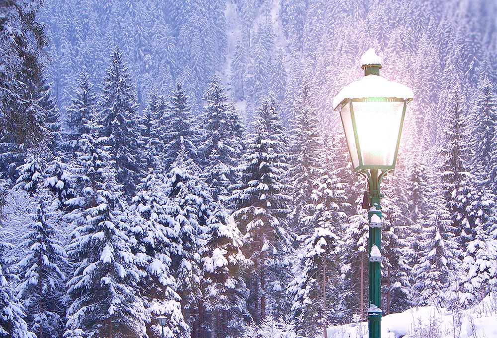 Lamp Post in Winter
