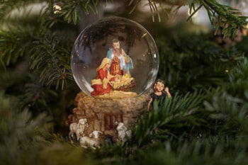 Nativity snow globe