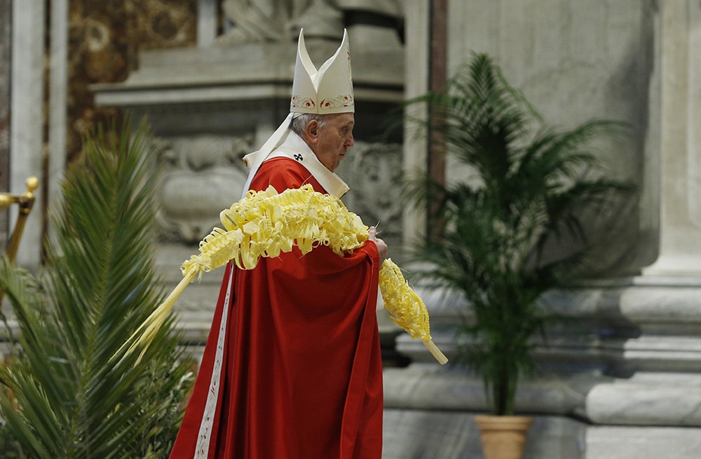 POPE PALM SUNDAY