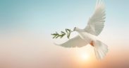 peace