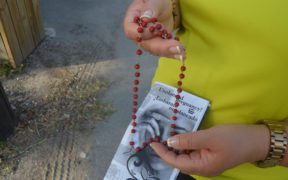 abortion literature