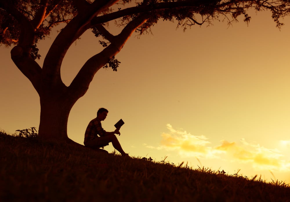 reading