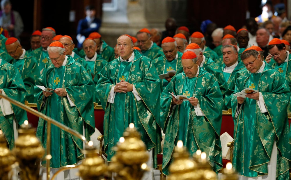POPE MASS NEW CARDINALS