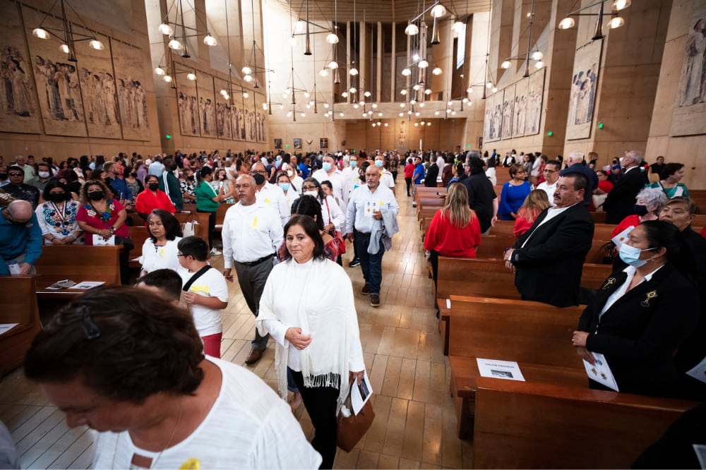 CALIFORNIA MASS RECOGNITION ALL IMMIGRANTS