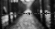 Holocaust