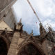 Notre Dame Cathedral reopening