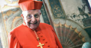 Cardinal Rauber