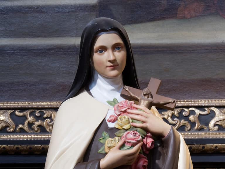 St. Thérèse of Lisieux, the story of a soul who lived the little way