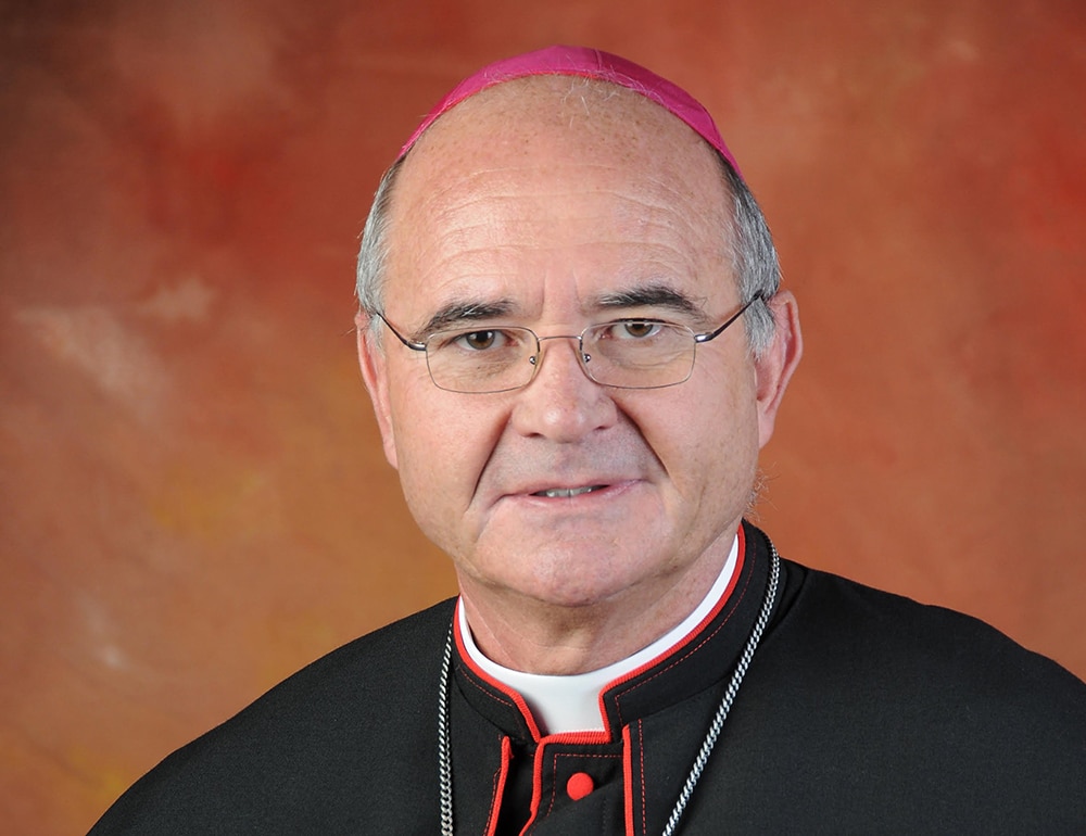 Cardinal-designate Stephen Brislin
