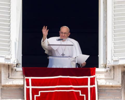 POPE FRANCIS ANGELUS SOWER