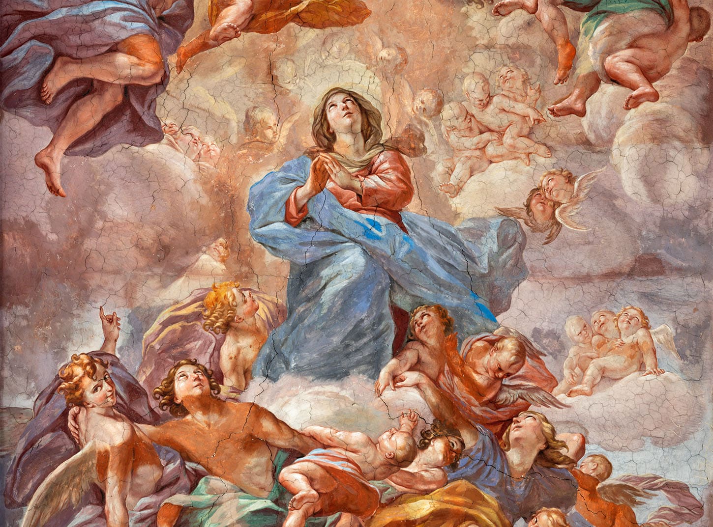 Sharing in Mary's assumption A 'visio divina' with Mary as our guide