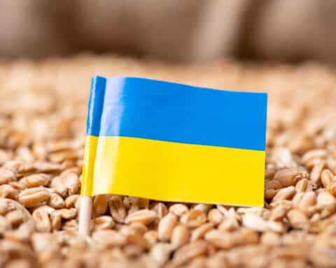 Ukraine's grain