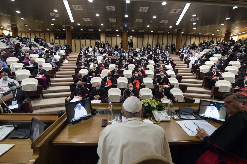 POPE MEETING SYNOD PROCESS