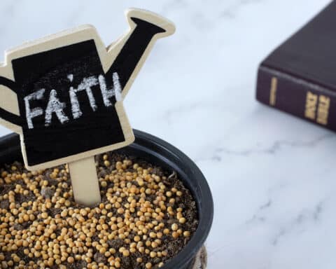 sow seeds of faith