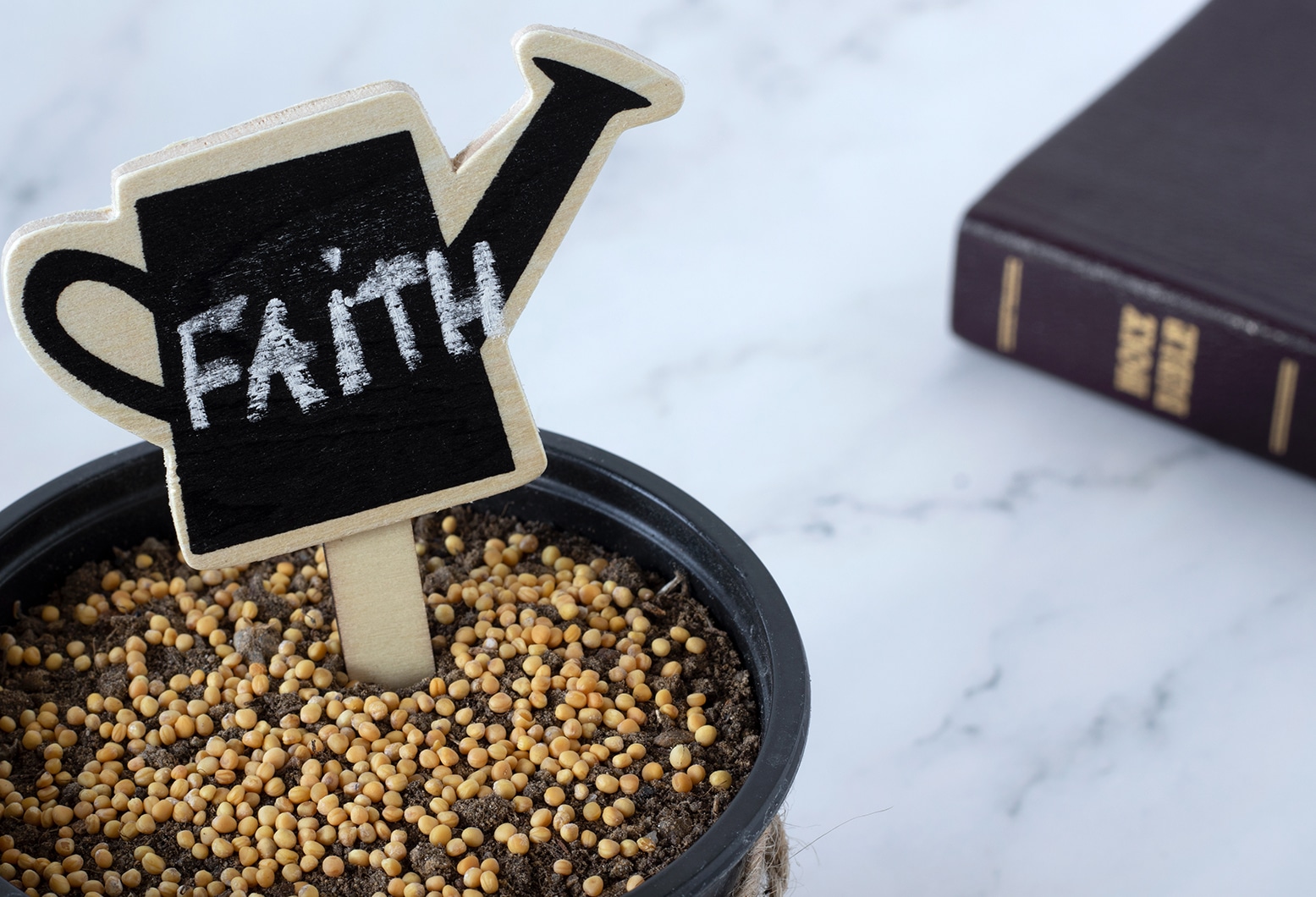 sow seeds of faith