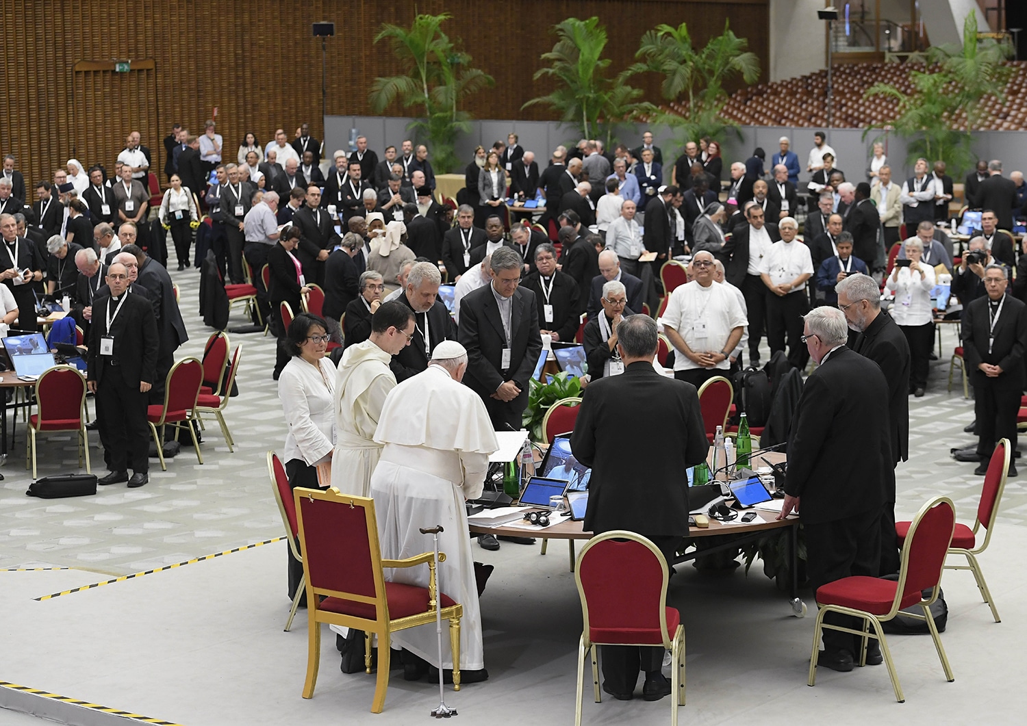 synod role of the laity