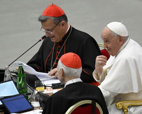 Vatican Synod next steps