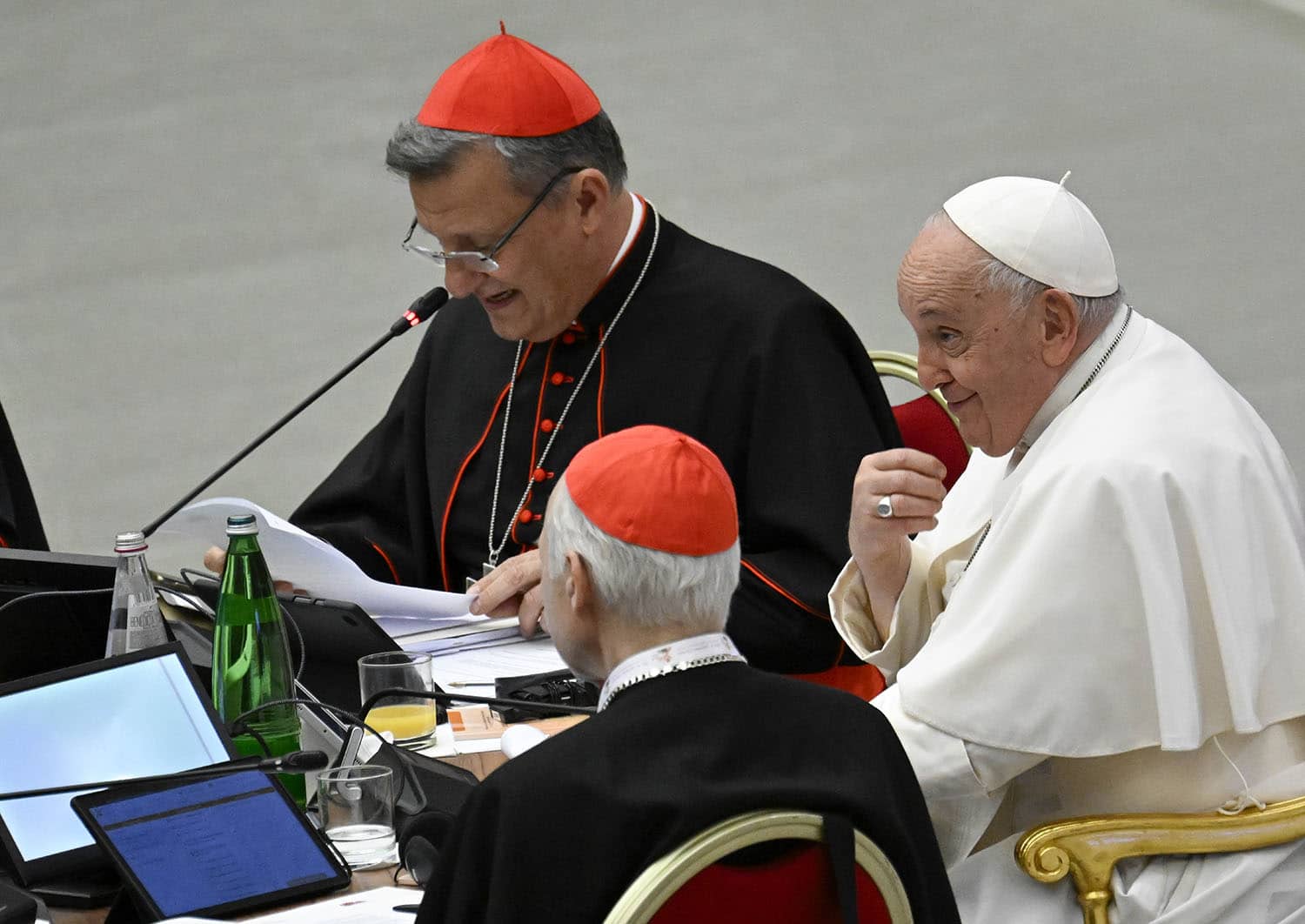 Vatican Synod next steps
