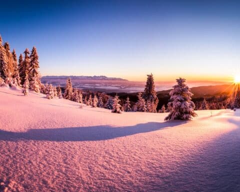 Beautiful winter nature at dawn