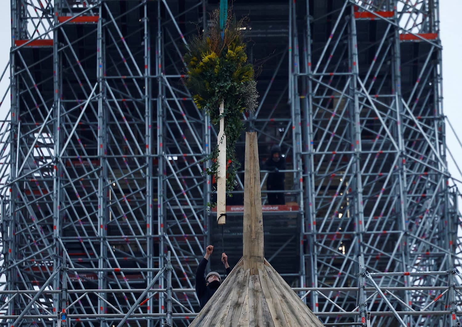 PARIS NOTRE DAME CATHEDRAL FLOWERS