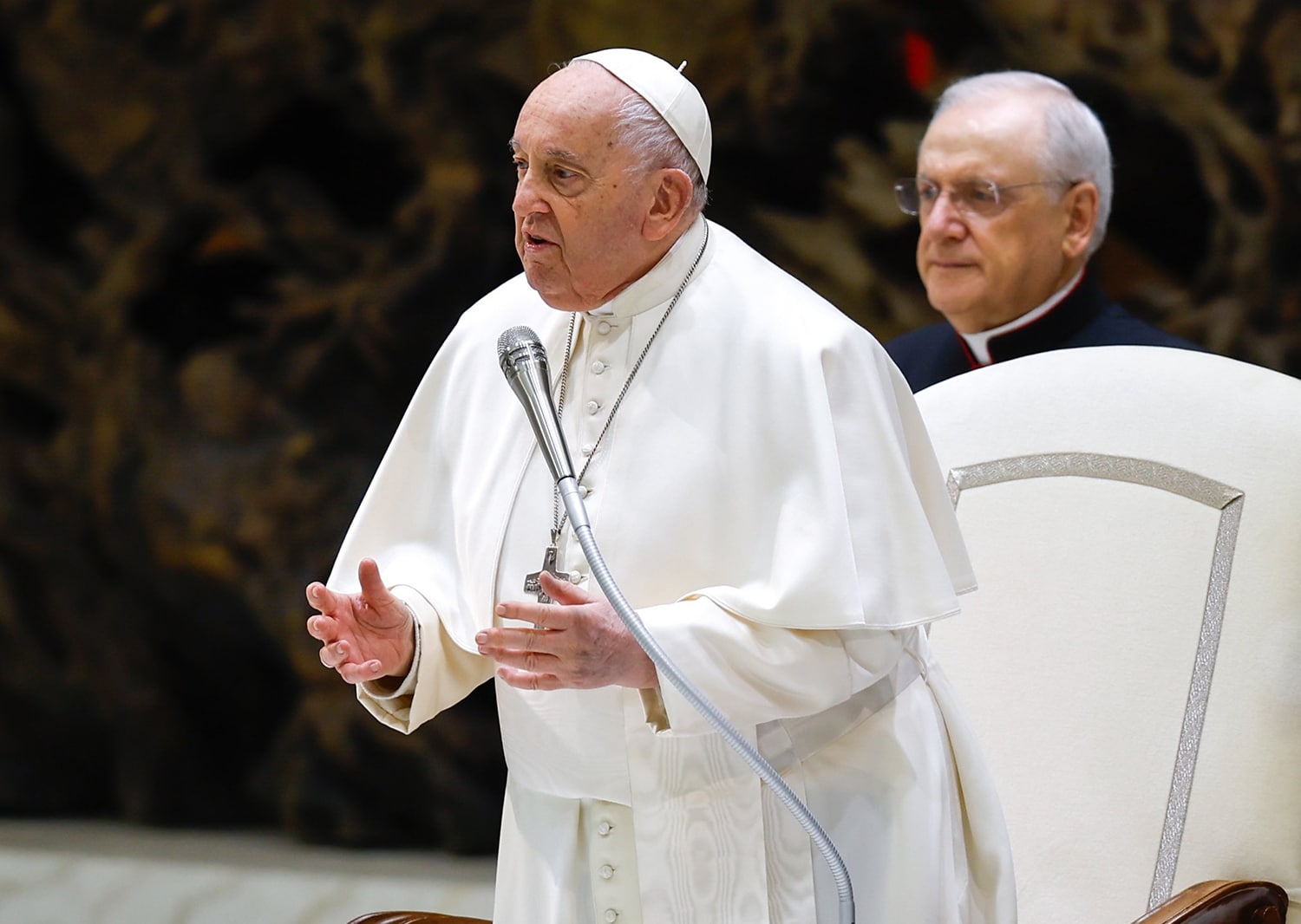 POPE FRANCIS GENERAL AUDIENCE