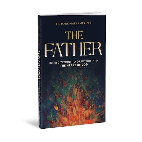 The Father book