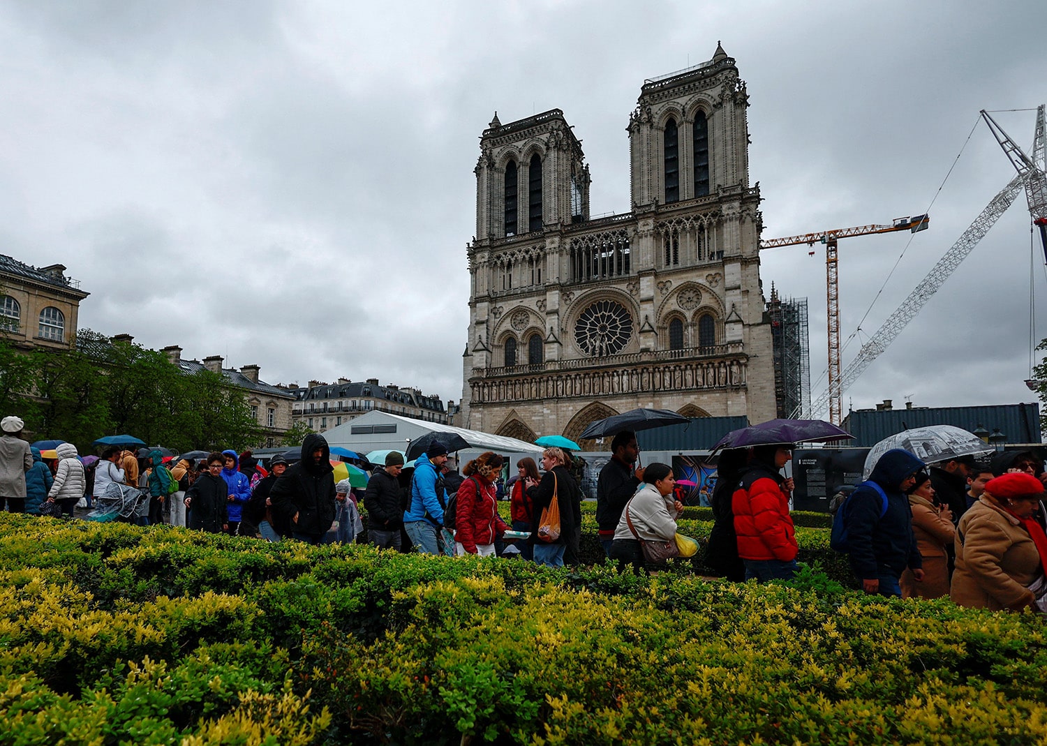 NOTRE DAME CATHEDRAL PARIS RETORATION