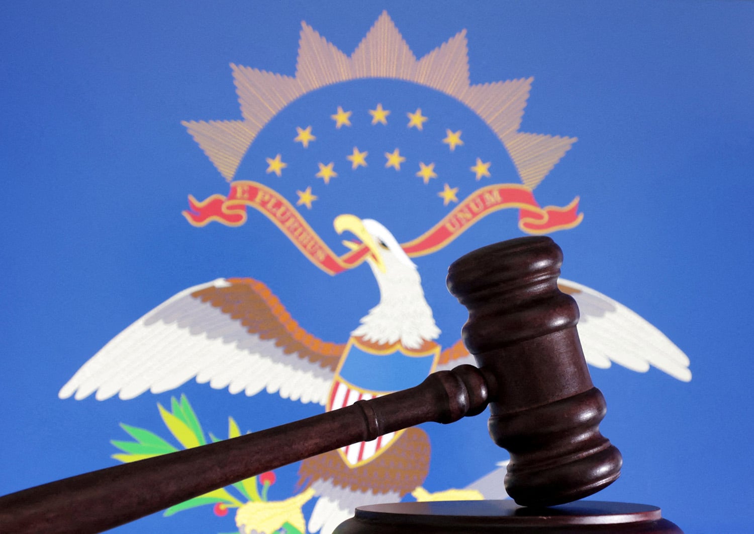 NORTH DAKOTA FLAG AND GAVEL