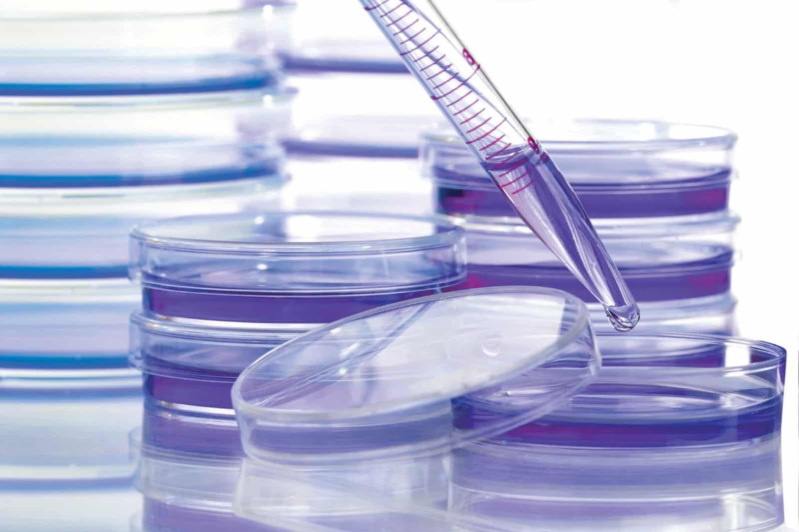 IVF
