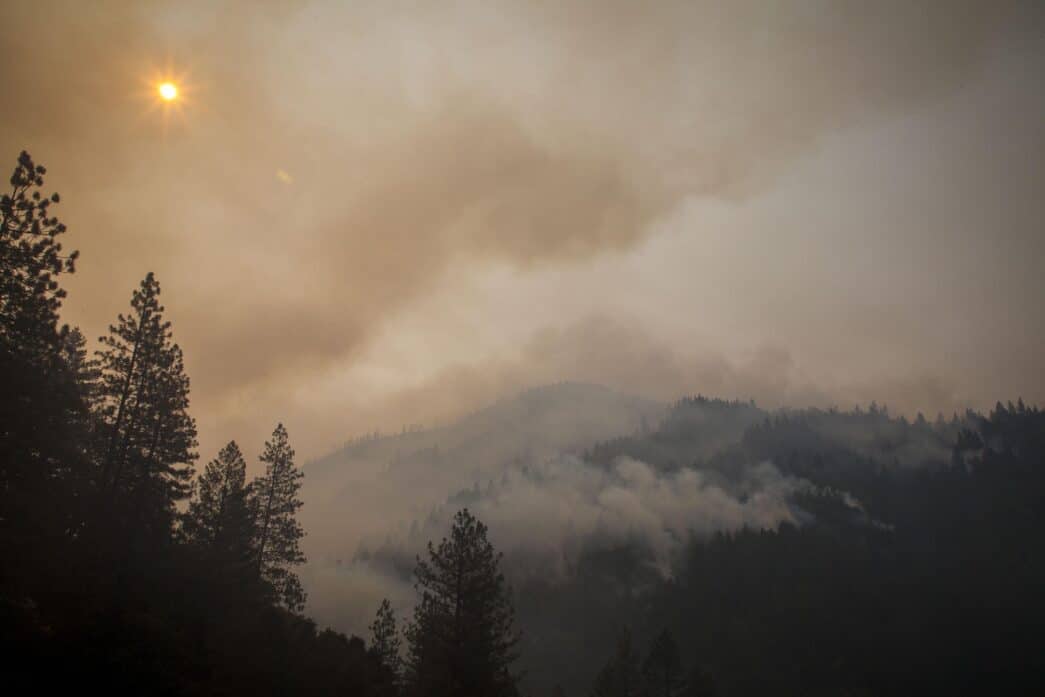 A file photo shows the sun peeking through the smoke and burned-out trees during the Carr Fire in the Whiskeytown Shasta-Trinity National Recreation Area near Redding, Calif.