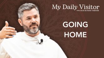 Nov. 5 reflection