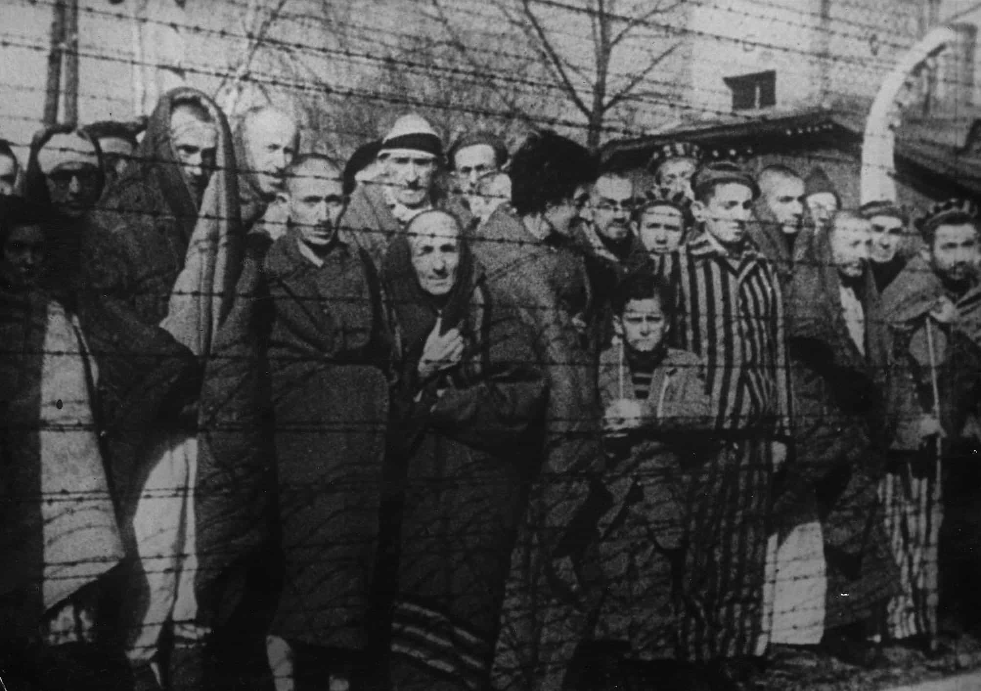 Holocaust survivor honors Polish priest who aided his family
